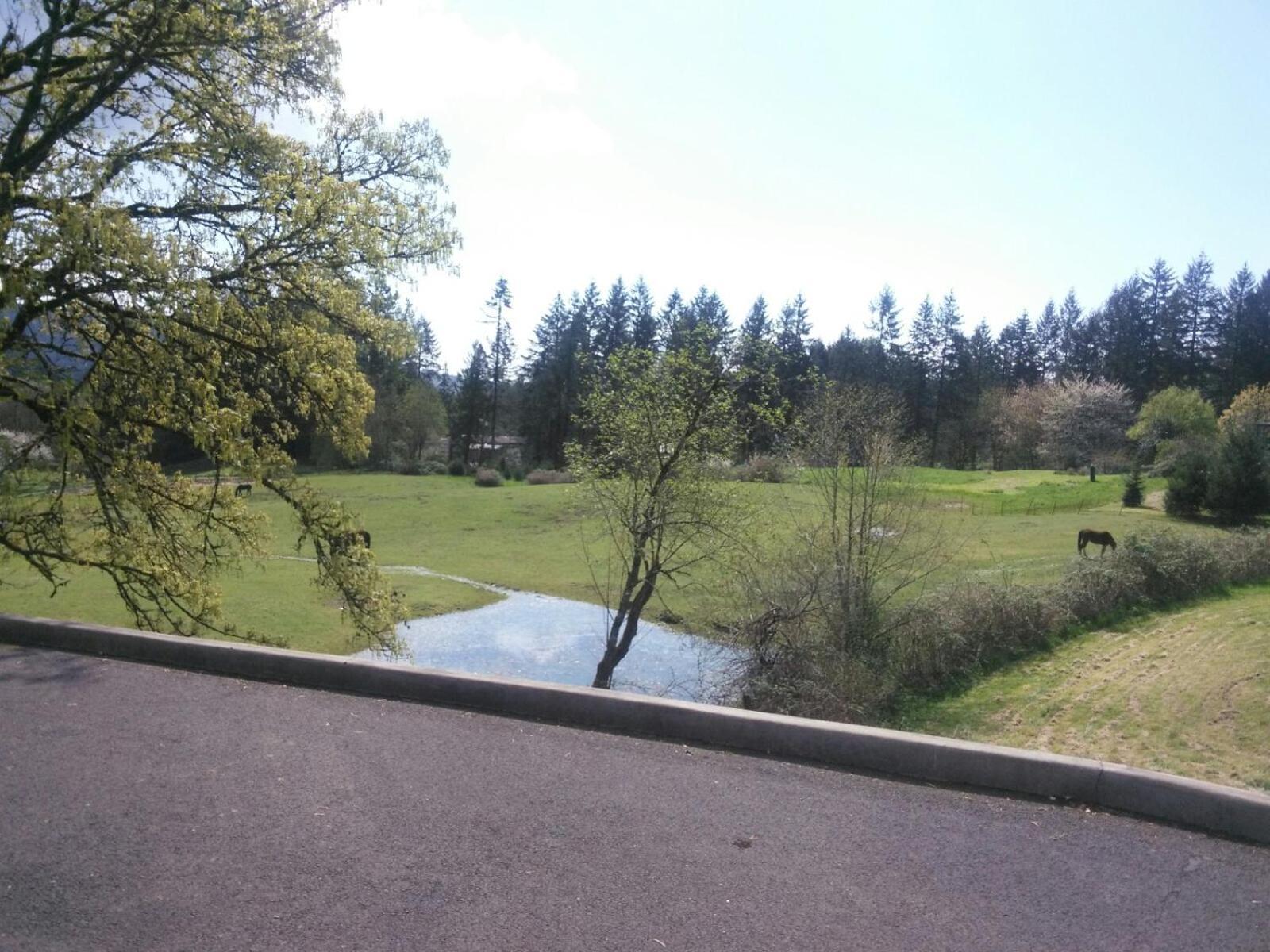 Vancouver Wa Beautiful Apartment Woodland Eksteriør billede
